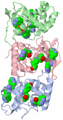 Image Biological Unit 1