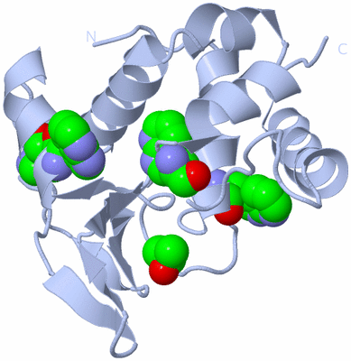 Image Biological Unit 2