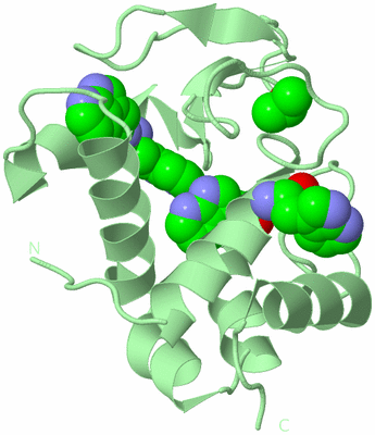 Image Biological Unit 3