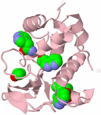 Image Biological Unit 4