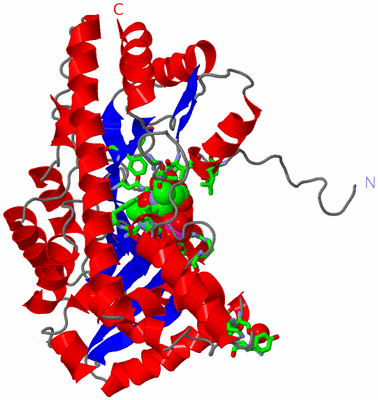 Image Asym. Unit - sites