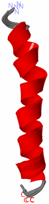 Image NMR Structure - all models