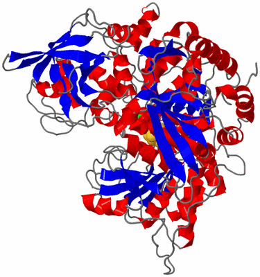 Image Asym./Biol. Unit