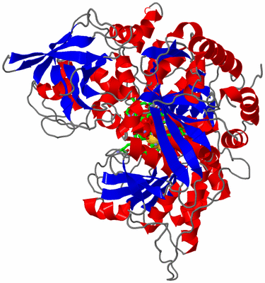 Image Asym./Biol. Unit - sites