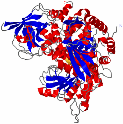 Image Asym./Biol. Unit