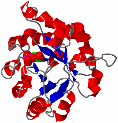 Image Asymmetric Unit