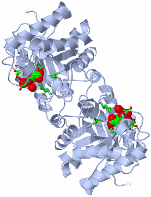 Image Biol. Unit 1 - sites