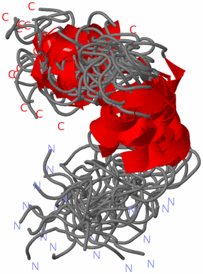 Image NMR Structure - all models