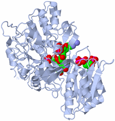 Image Biological Unit 1