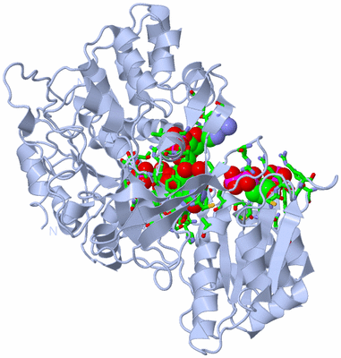 Image Biol. Unit 1 - sites