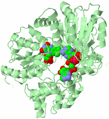 Image Biological Unit 2