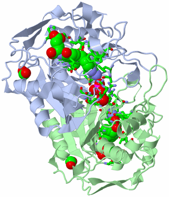 Image Asym./Biol. Unit - sites