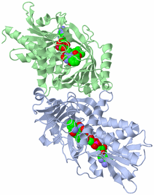 Image Asym./Biol. Unit
