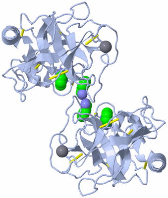 Image Biological Unit 1