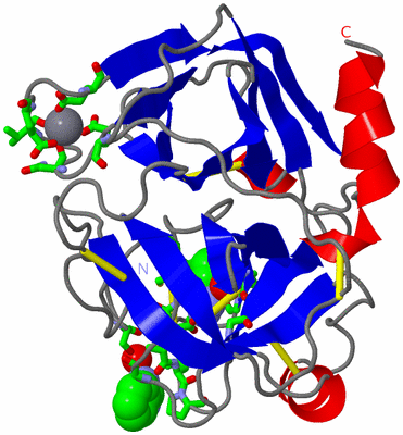 Image Asym. Unit - sites