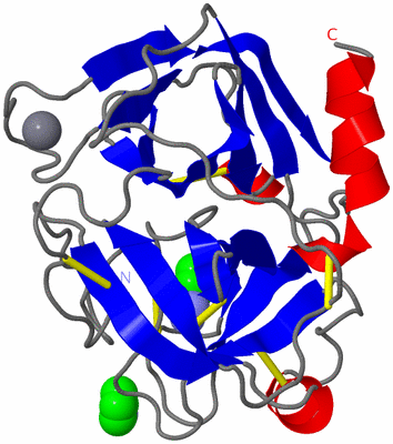 Image Asymmetric Unit