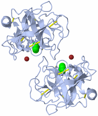 Image Biological Unit 1