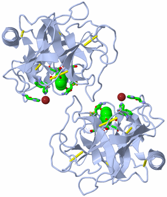 Image Biol. Unit 1 - sites