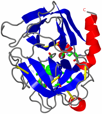 Image Asym. Unit - sites