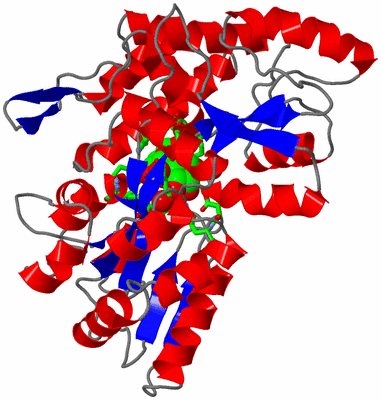 Image Asym./Biol. Unit - sites