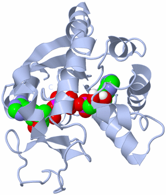 Image Biological Unit 1