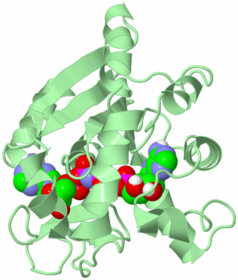 Image Biological Unit 2