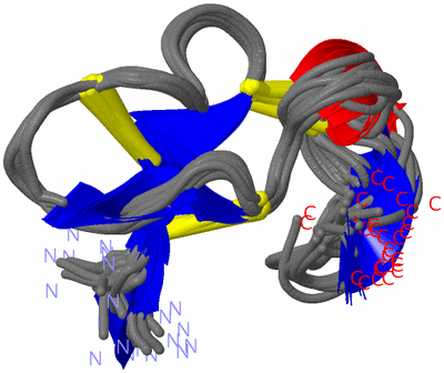 Image NMR Structure - all models
