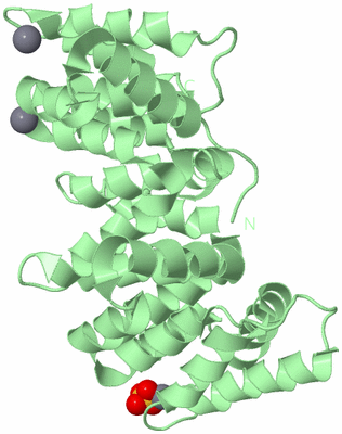 Image Biological Unit 2