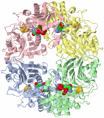 Image Asym./Biol. Unit