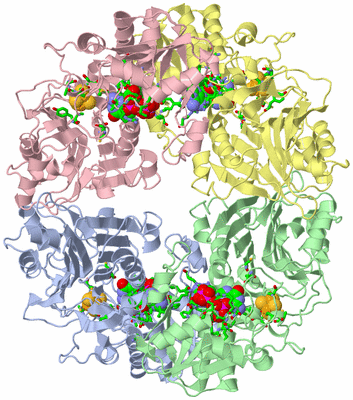 Image Asym./Biol. Unit - sites