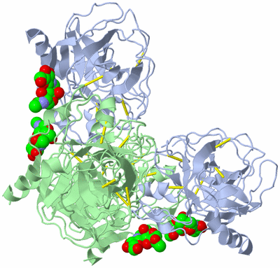 Image Biological Unit 1