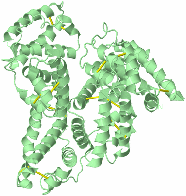 Image Biological Unit 2