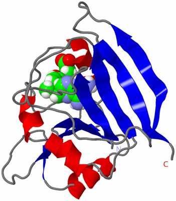 Image NMR Structure - model 1