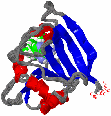 Image NMR Structure - all models