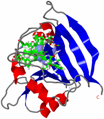 Image NMR Structure - model 1, sites