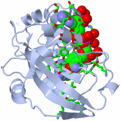 Image Biol. Unit 1 - sites