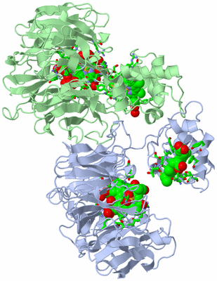 Image Asym./Biol. Unit - sites