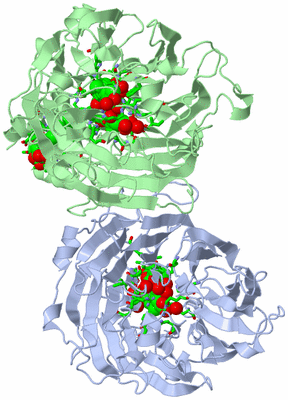 Image Asym./Biol. Unit - sites