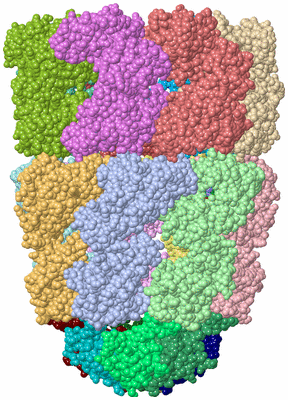 Image Asym./Biol. Unit