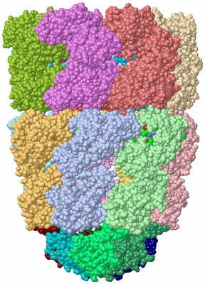 Image Asym./Biol. Unit - sites