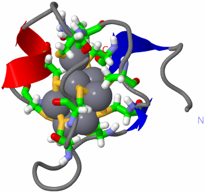 Image NMR Structure - model 1, sites