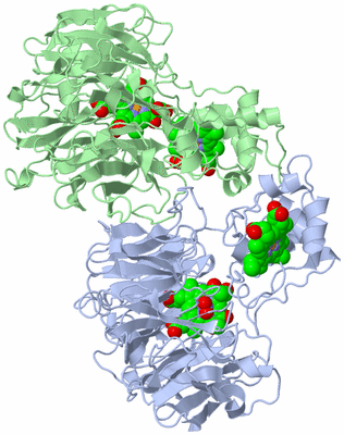 Image Asym./Biol. Unit