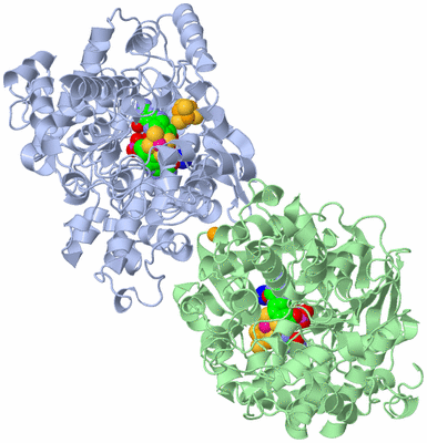 Image Asym./Biol. Unit