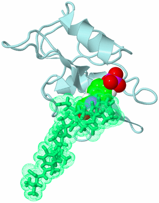 Image NMR Structure - model 1