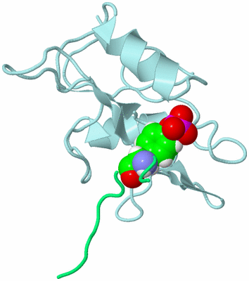 Image NMR Structure - all models