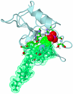 Image NMR Structure - model 1, sites