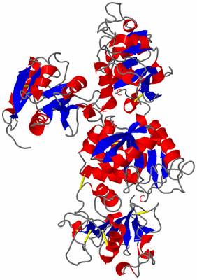 Image Asym./Biol. Unit