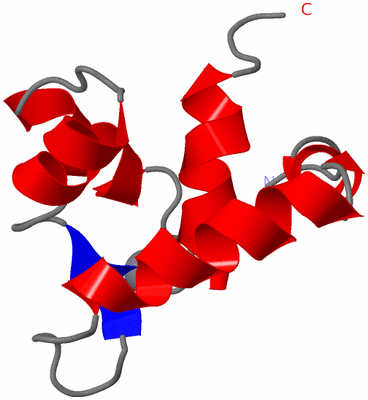 Image NMR Structure - model 1