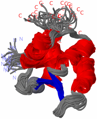 Image NMR Structure - all models