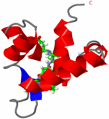 Image NMR Structure - model 1, sites